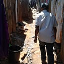 Raccolta fondi per progetto "Allevamento di galline ovaiole" a Buluguyi, Uganda